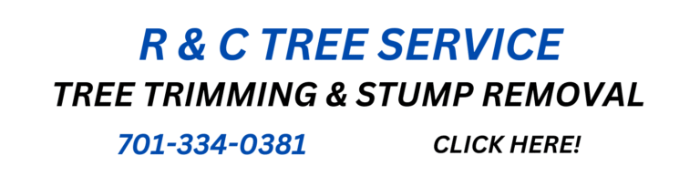 R+T TREE SERVICE